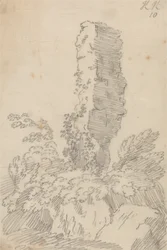 Roche perpendiculaire et arbres